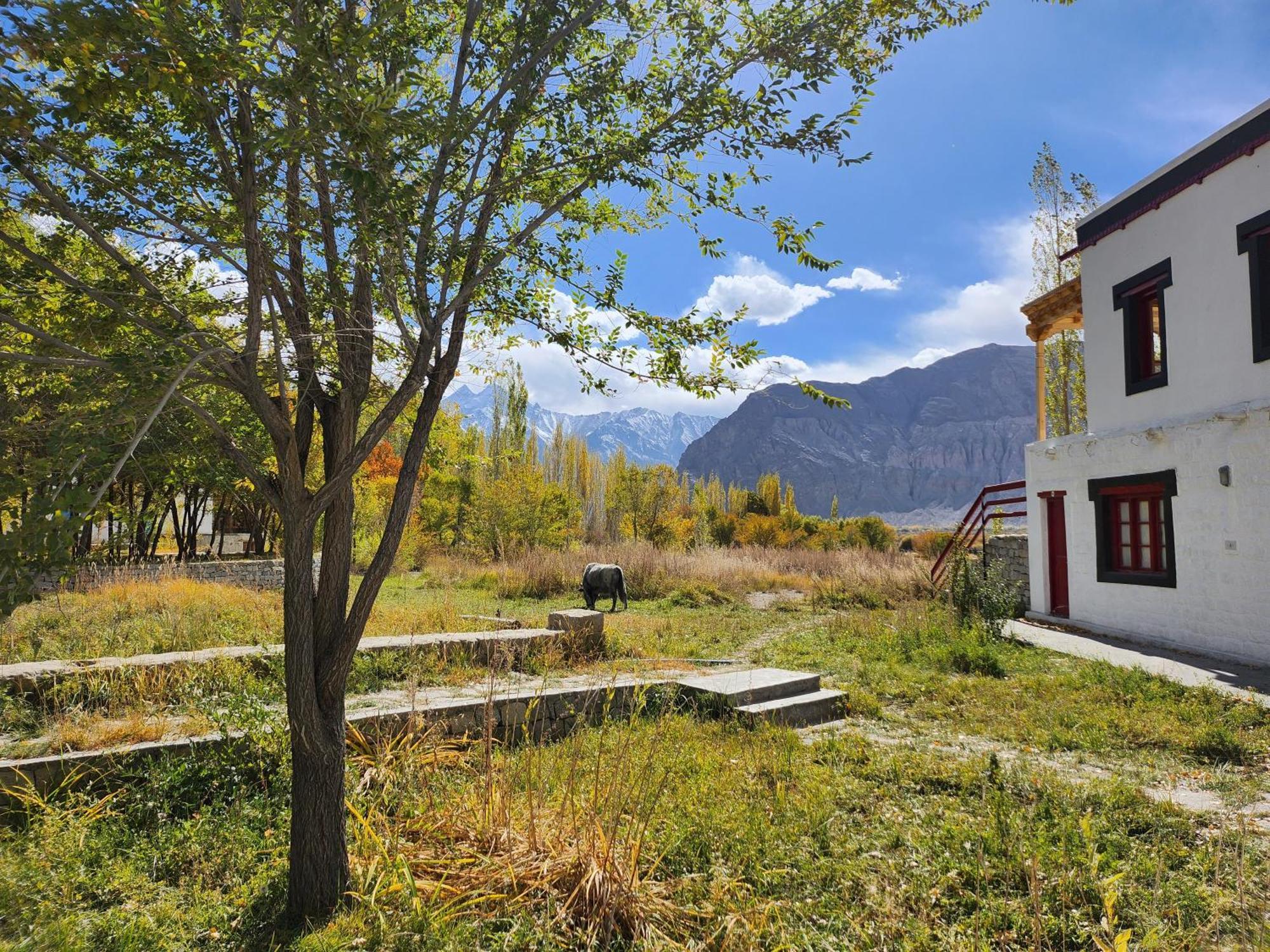 Lharimo Hotel Leh - Ladakh Exterior photo