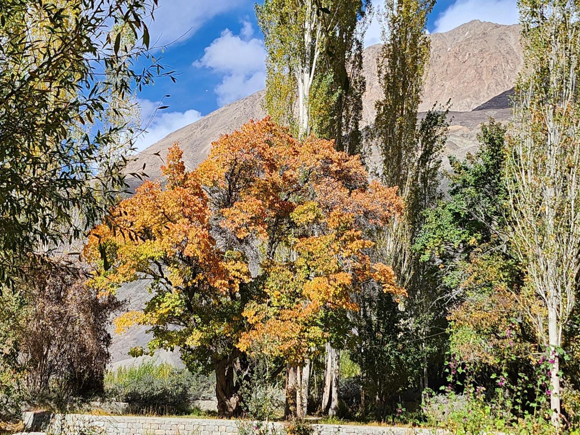 Lharimo Hotel Leh - Ladakh Exterior photo